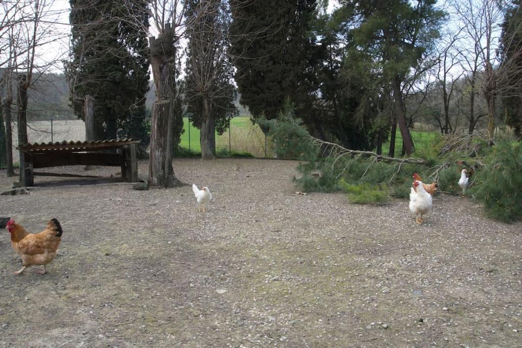Casa Vacanze Podere San Giusto Volterra Esterno foto