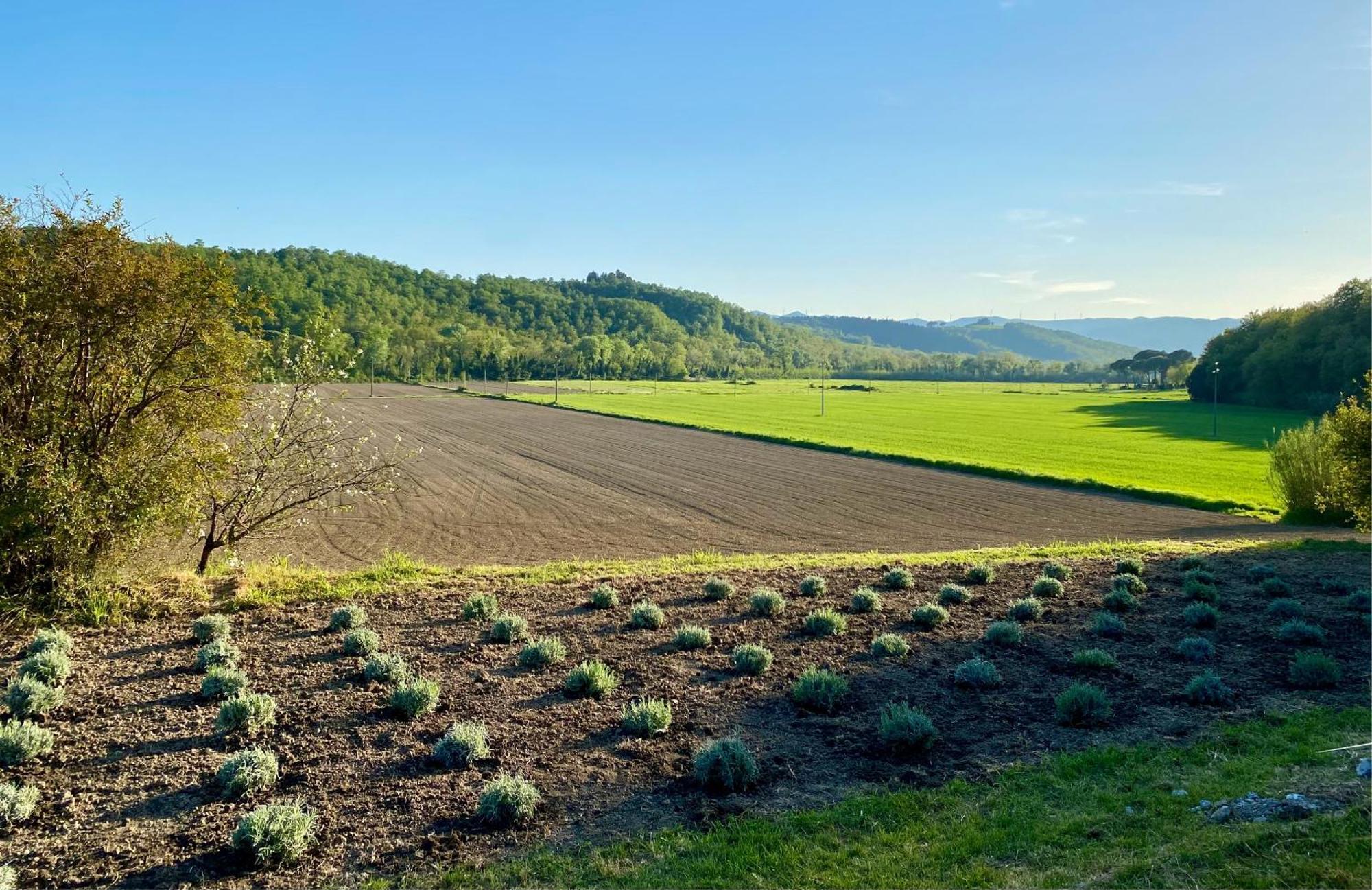 Casa Vacanze Podere San Giusto Volterra Esterno foto