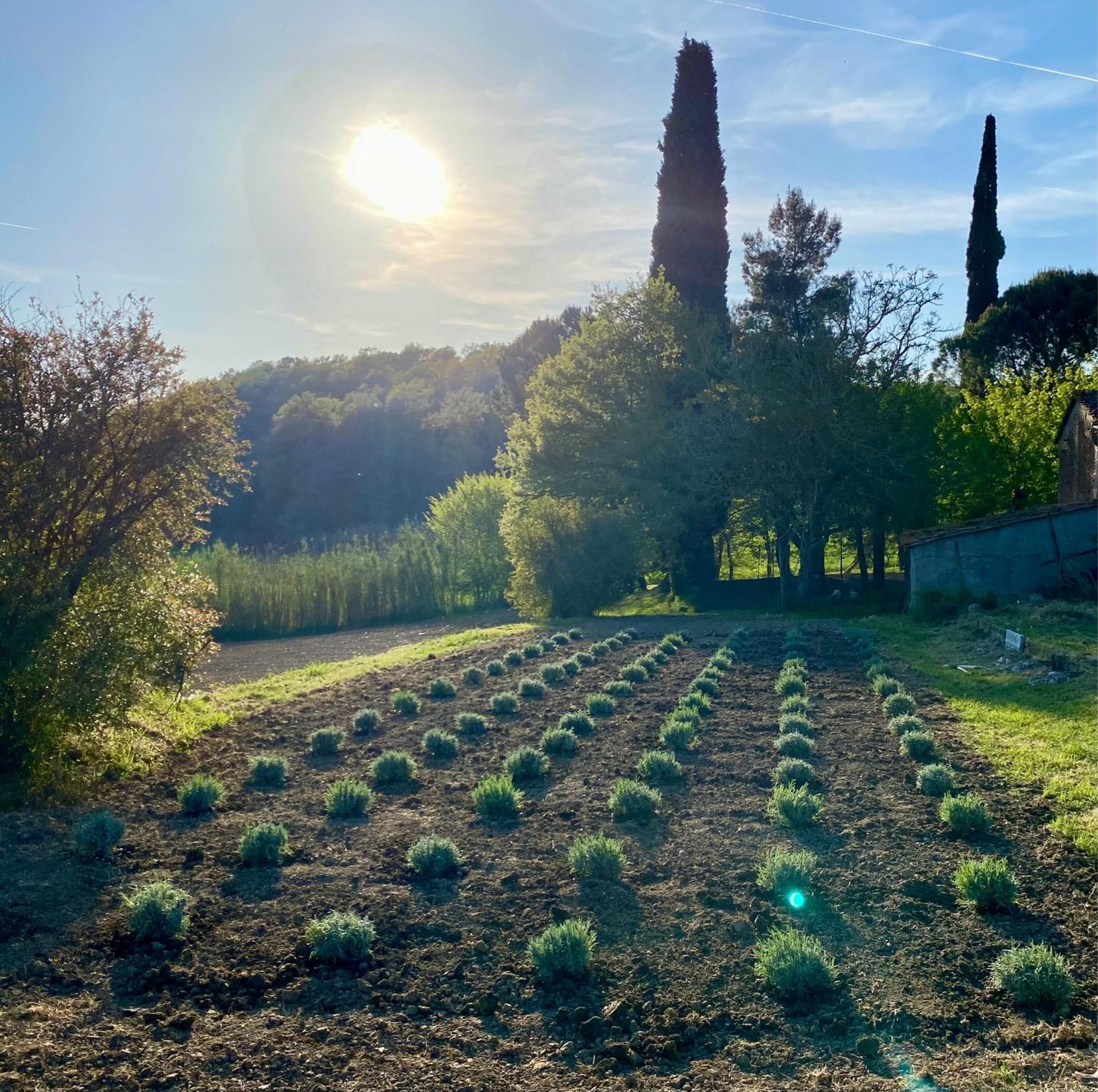 Casa Vacanze Podere San Giusto Volterra Esterno foto