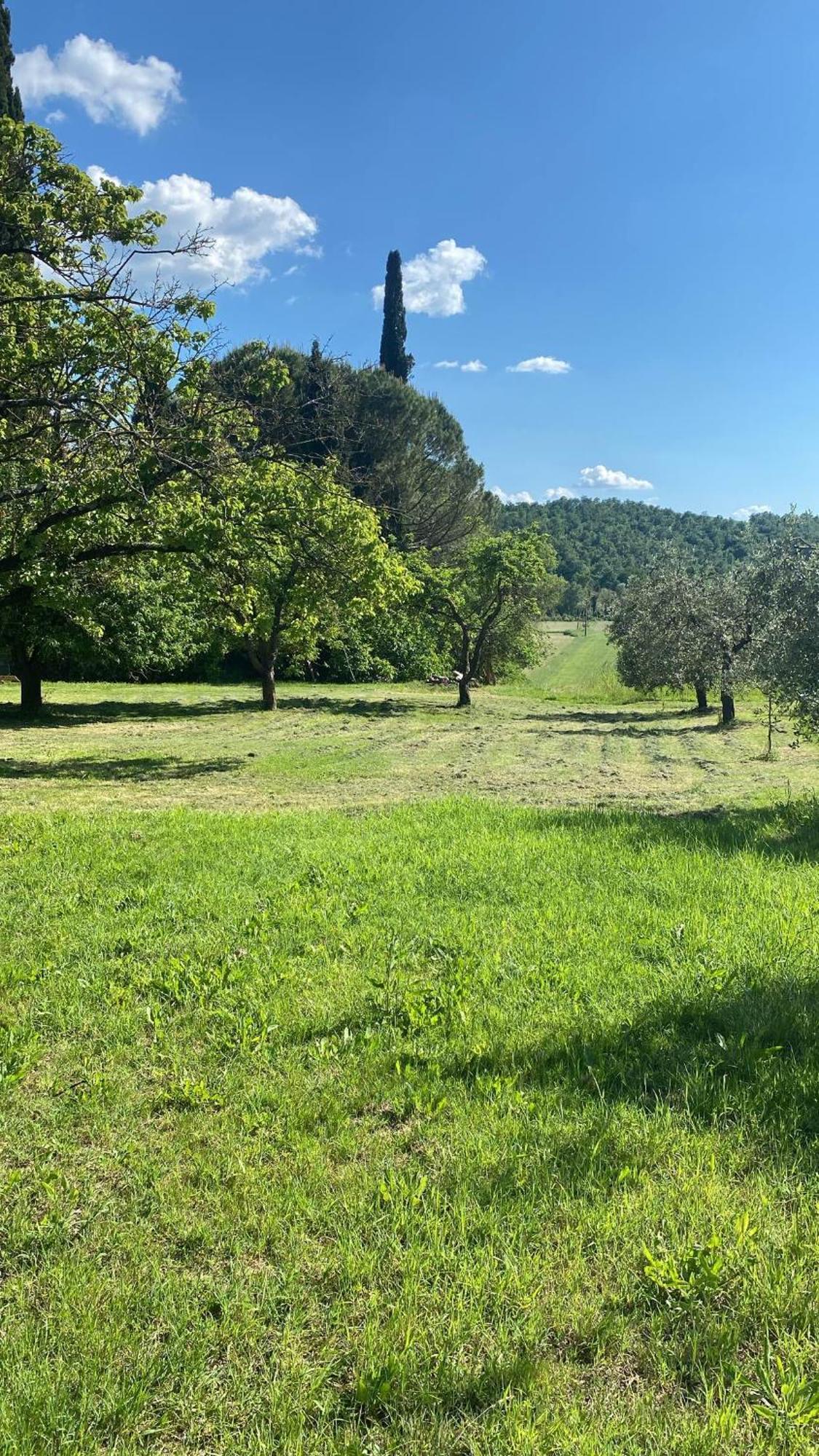 Casa Vacanze Podere San Giusto Volterra Esterno foto
