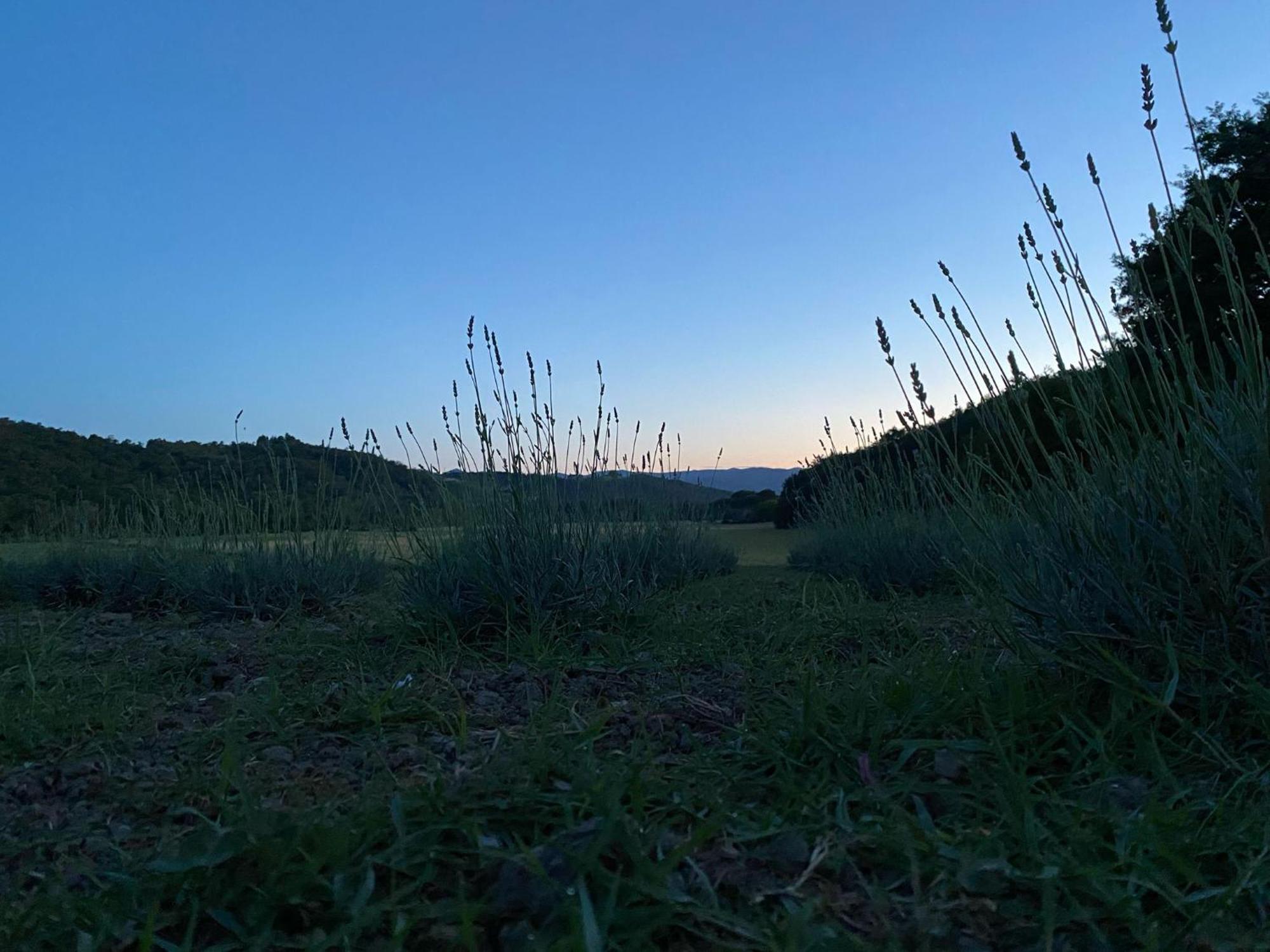 Casa Vacanze Podere San Giusto Volterra Esterno foto
