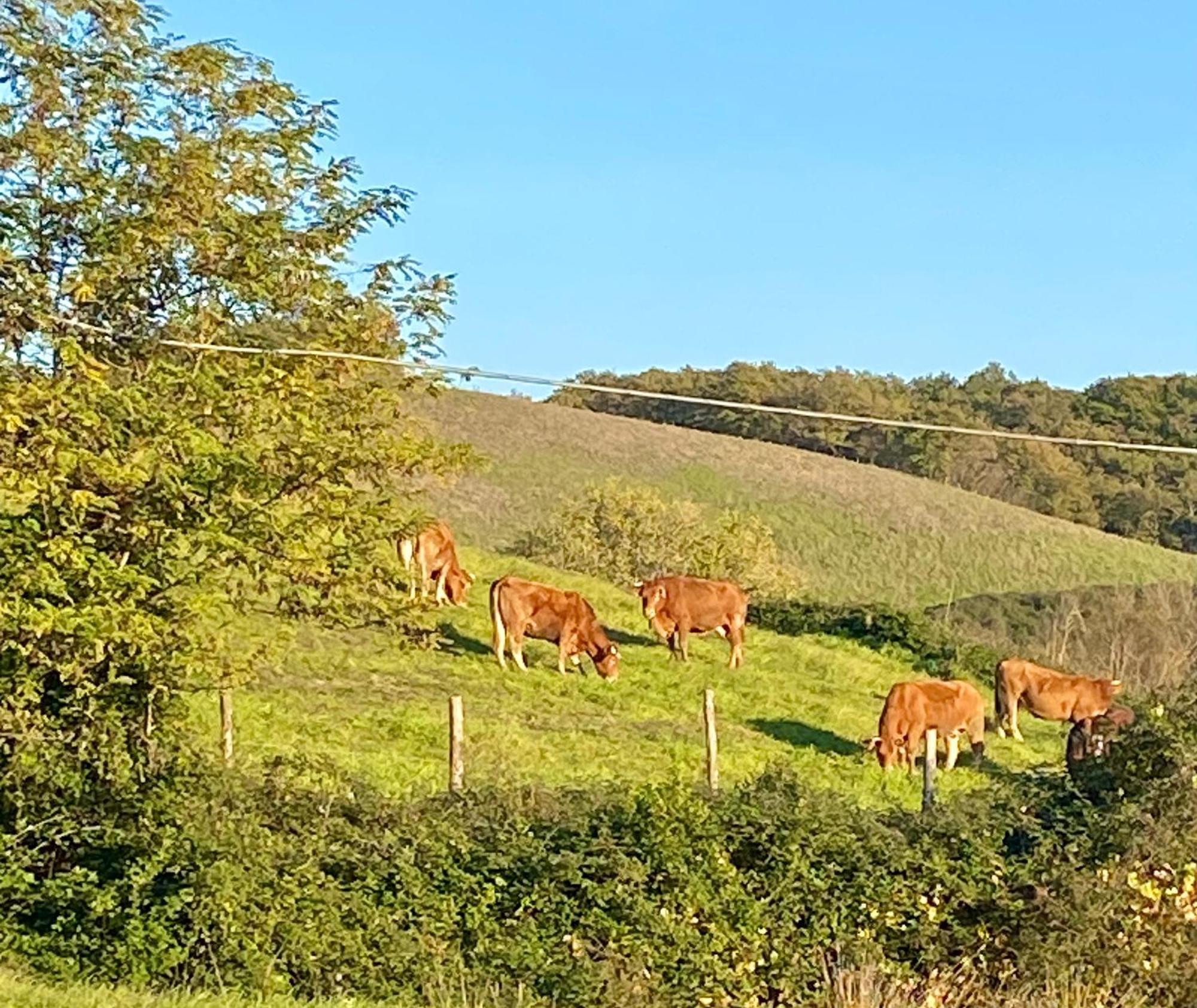 Casa Vacanze Podere San Giusto Volterra Esterno foto