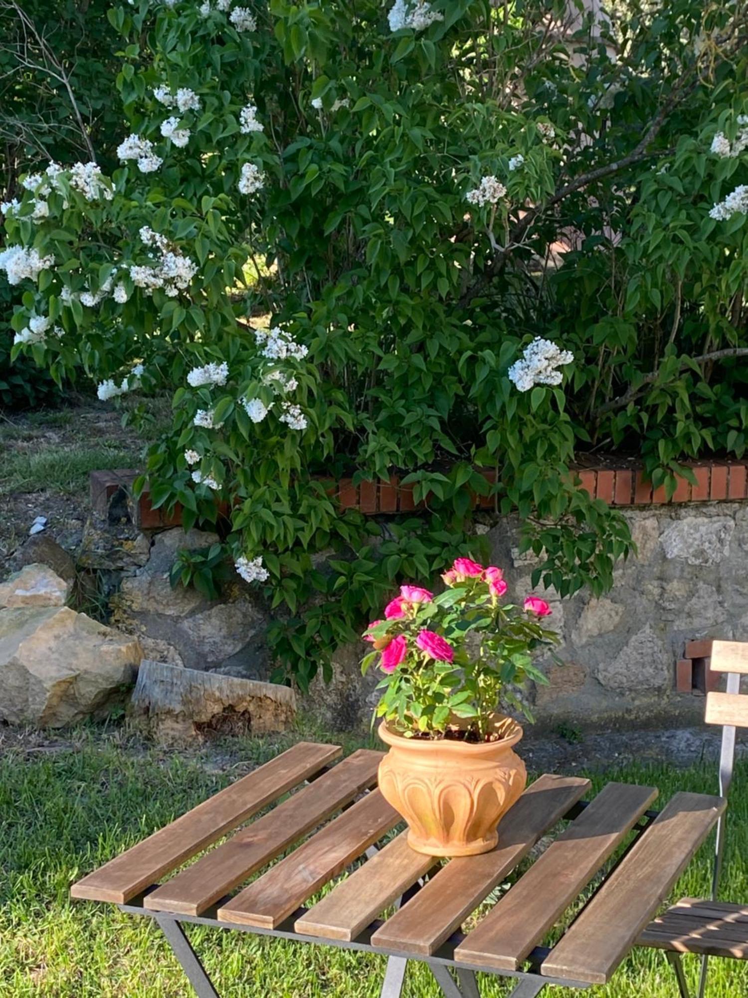 Casa Vacanze Podere San Giusto Volterra Esterno foto