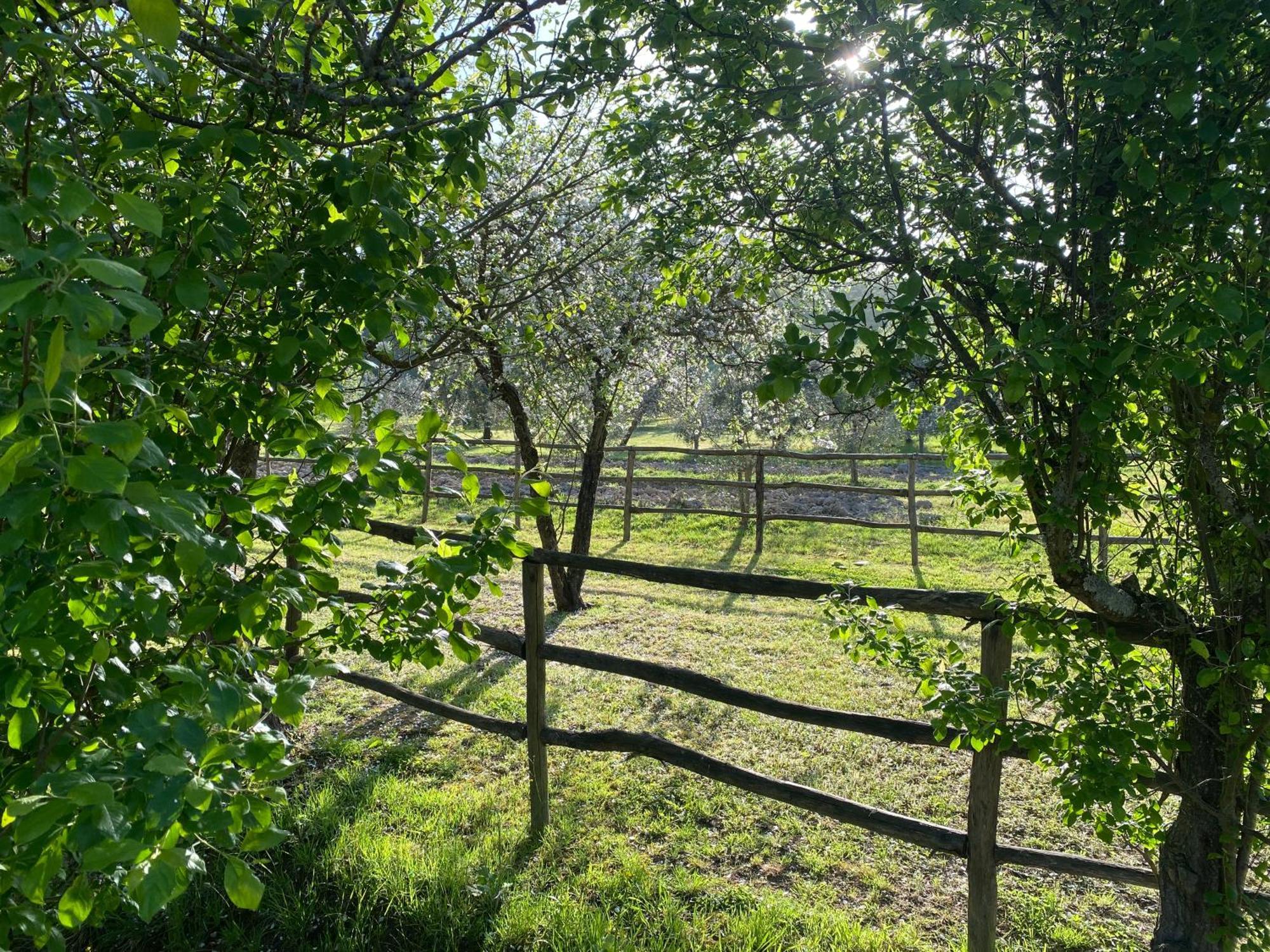 Casa Vacanze Podere San Giusto Volterra Esterno foto